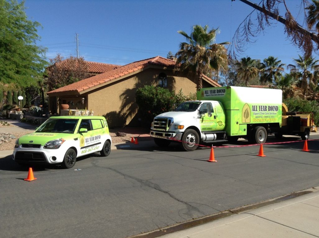 Green and white tree service vehicles parked on a street in front of a house.
