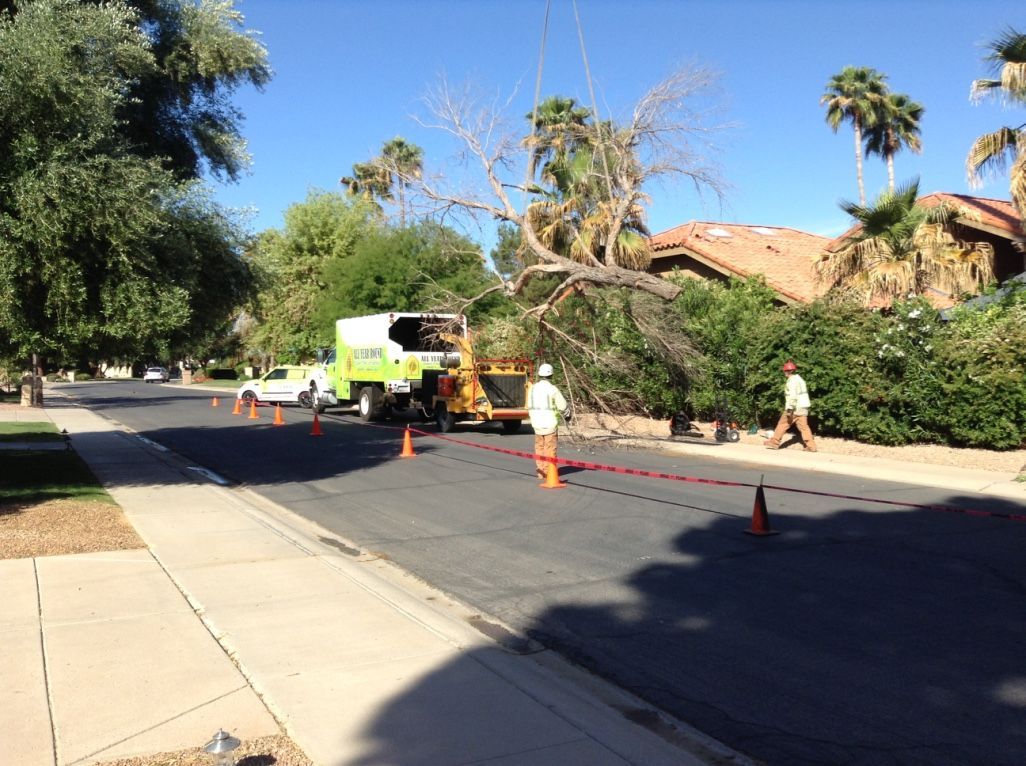 Street blocked for tree removal: workers, truck, cones; residential area, sunny day.