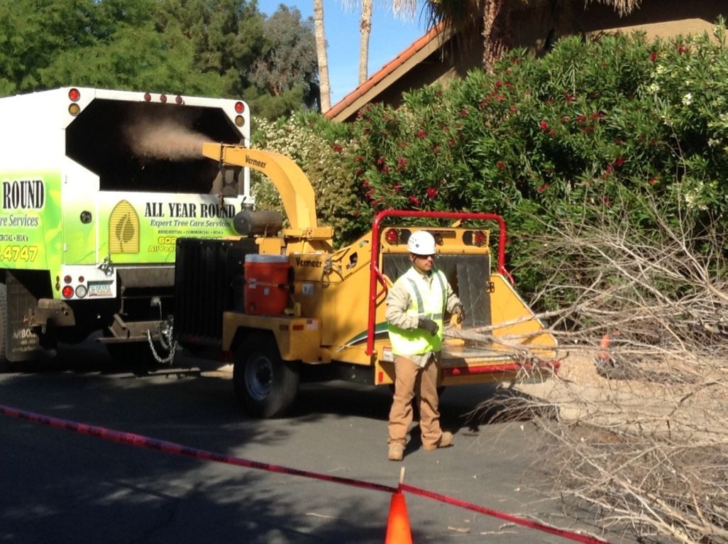 A tree worker operates a wood chipper, loading branches into it near a residential street.