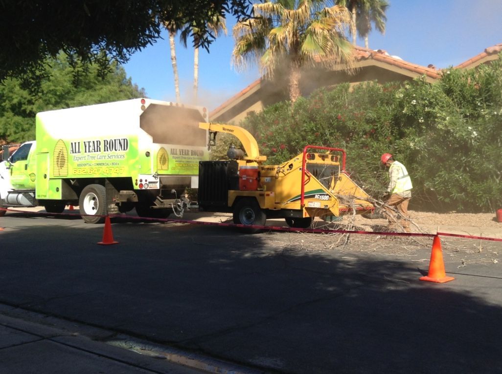 A tree service truck and wood chipper on a street. A worker in an orange vest feeds branches into the chipper.