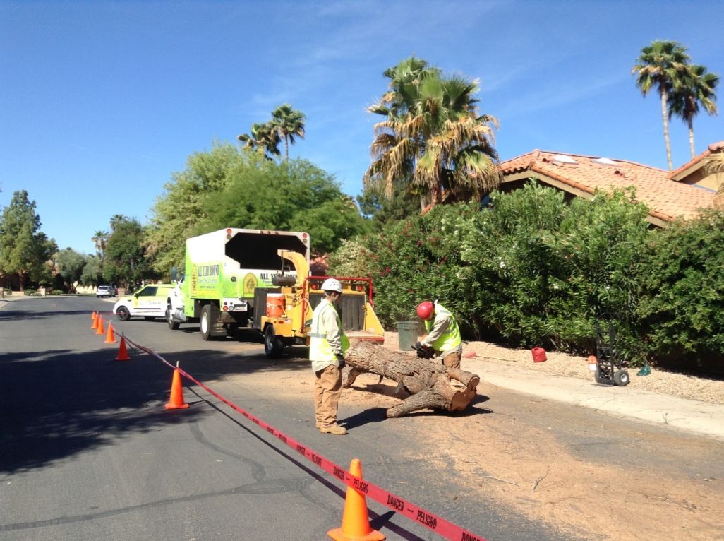 Tree removal crew working on a street, with chipper truck and safety cones. Sunny day, Arizona.