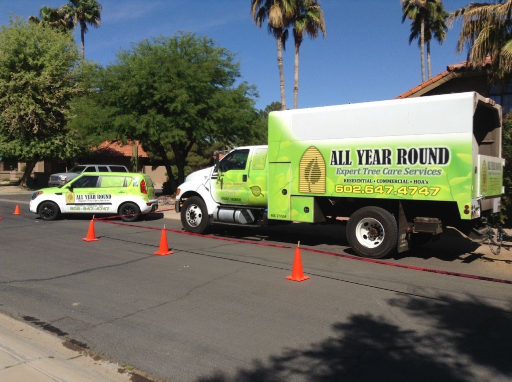 Two green and white tree service trucks parked on a road, marked with orange cones.