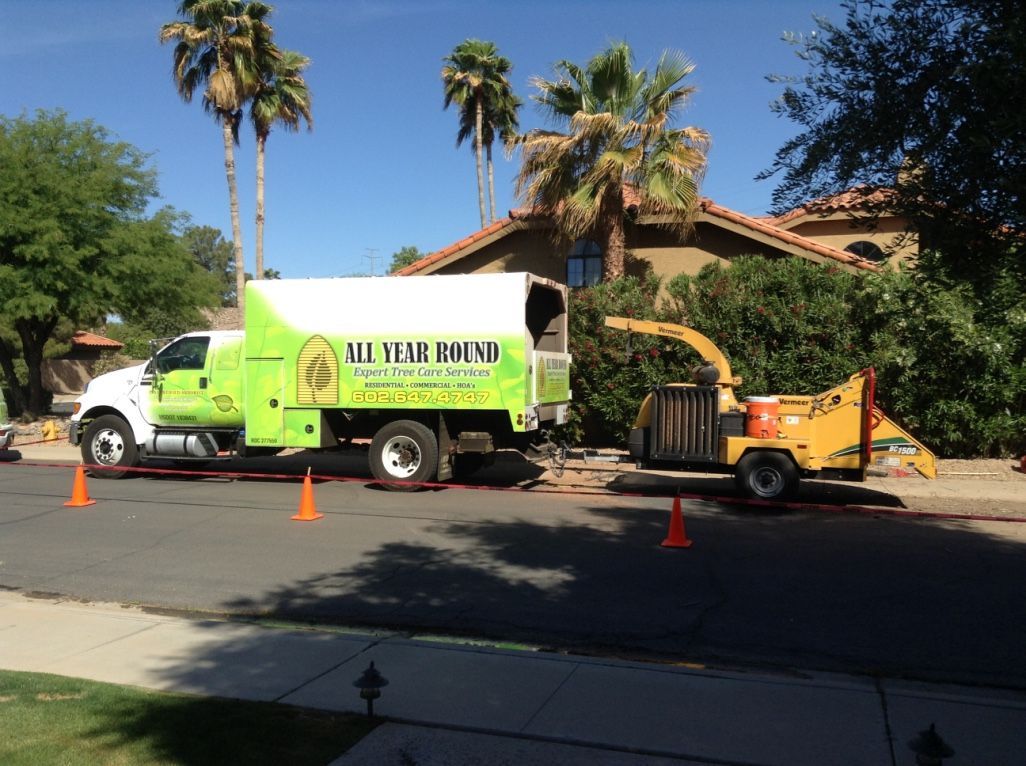 Tree service truck and wood chipper on a street; workers trimming trees in front of a house.