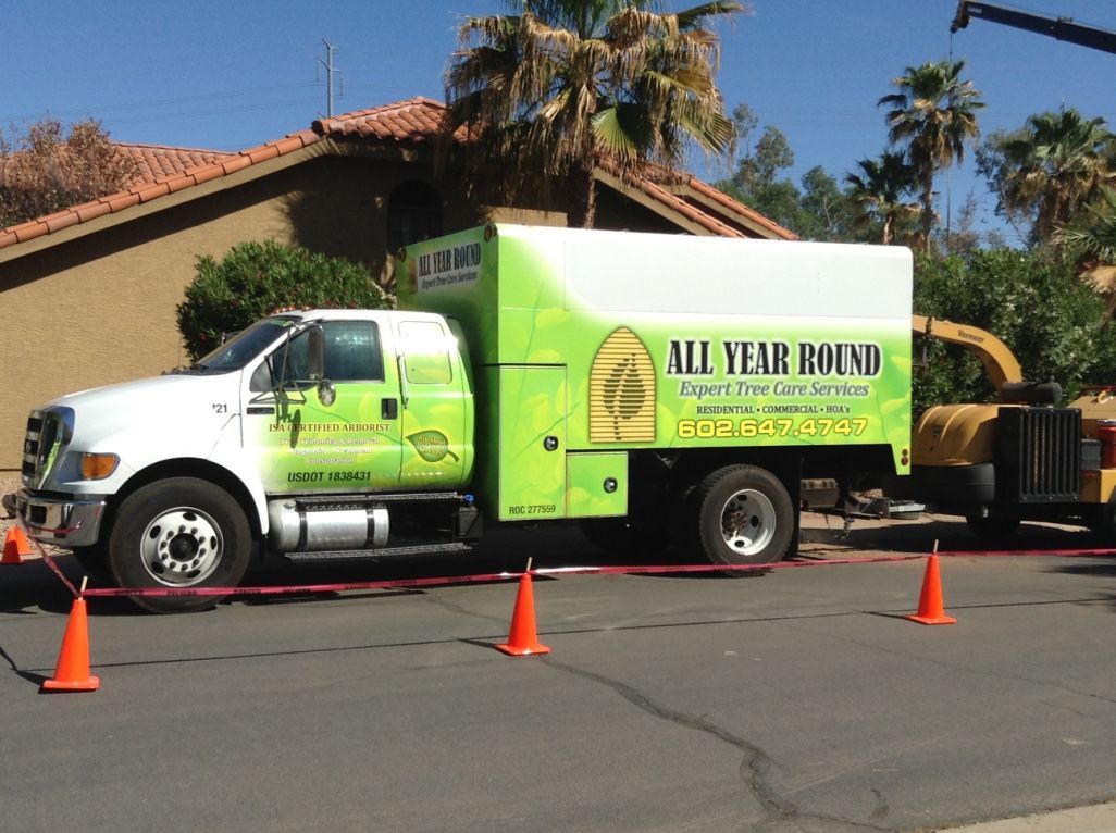 A white and green tree service truck parked on a street with a chipper behind it.