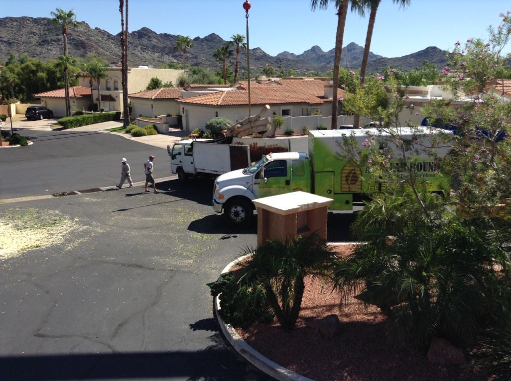 Two workers near trucks, possibly cleaning up fallen fruit. Trees, buildings, and mountains in background.