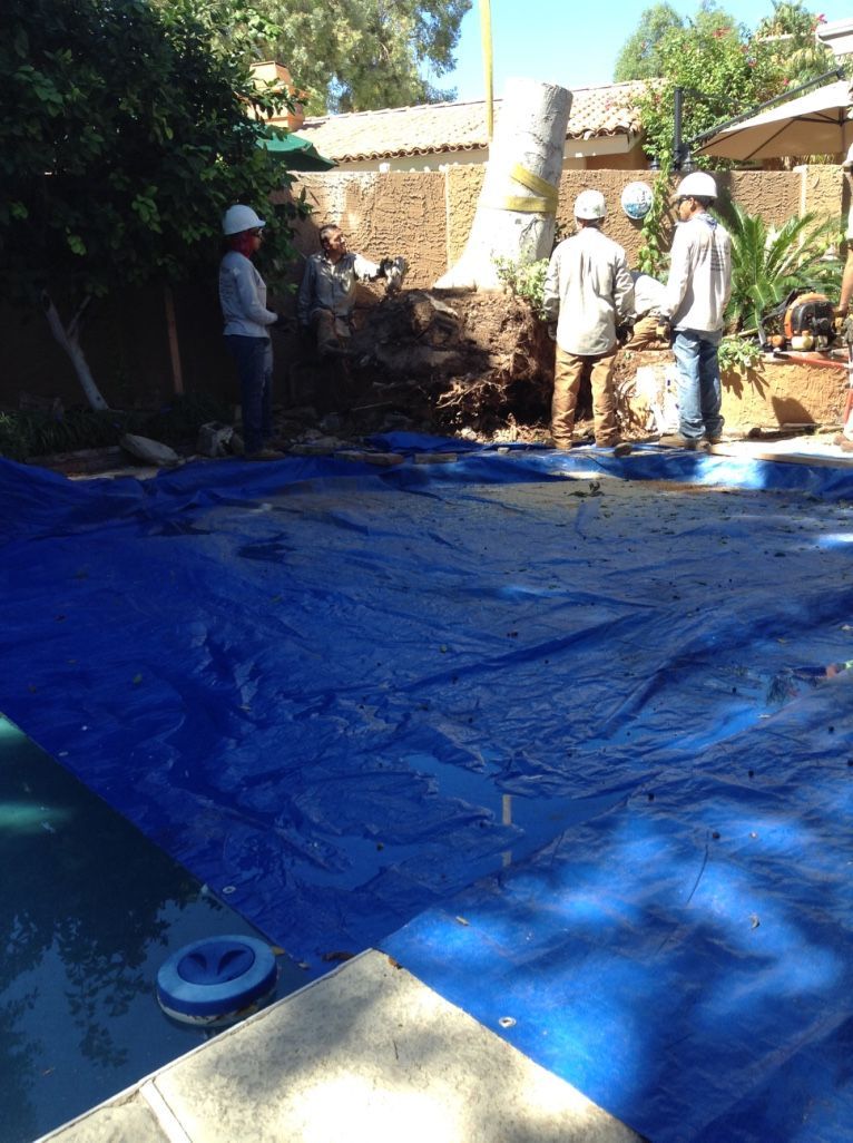 Construction workers near a partially covered pool. They stand near a wall with soil. Blue tarp covers the pool.