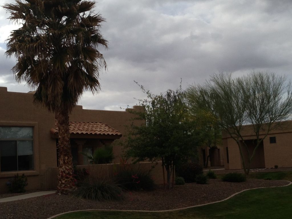 Tan stucco house with palm tree and cloudy sky.
