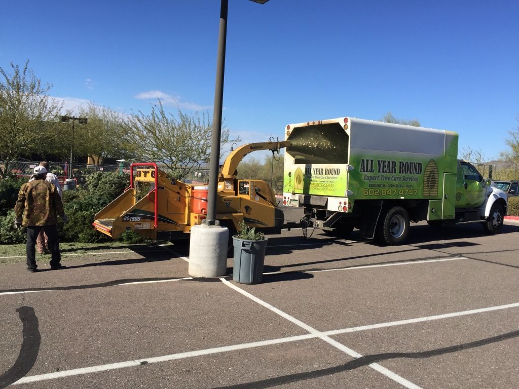 A tree service truck with a wood chipper, and a worker is feeding branches.