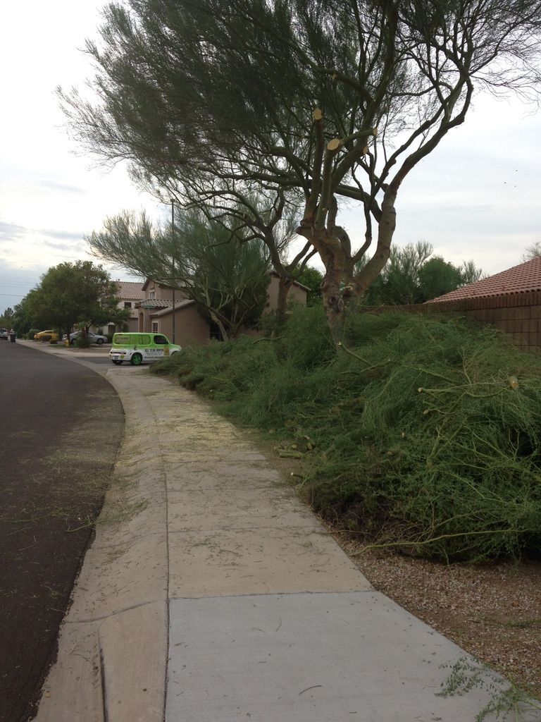 Sidewalk with overgrown vegetation, trimmed trees, and a service truck parked near residential buildings.