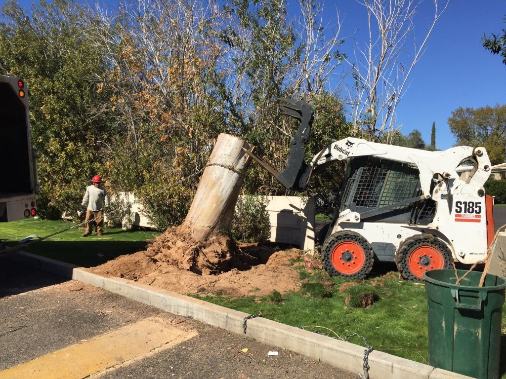 Bobcat removing a tree trunk, assisted by a worker. The scene is outdoors, with greenery and a truck.