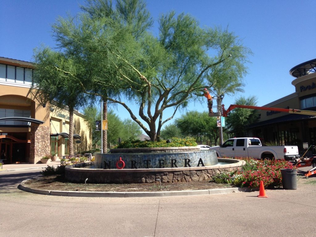 Tree trimming at Scottsdale shopping center, with orange lift, truck, and water fountain.