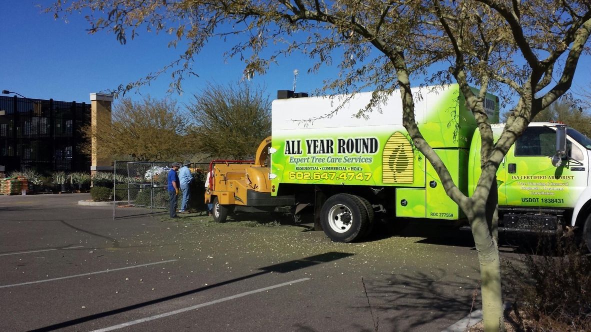 A tree service truck with two workers, parked in a lot, with a green and white color scheme.