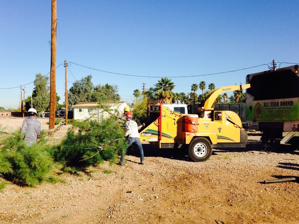 Two workers feeding tree branches into a yellow wood chipper; a truck behind.