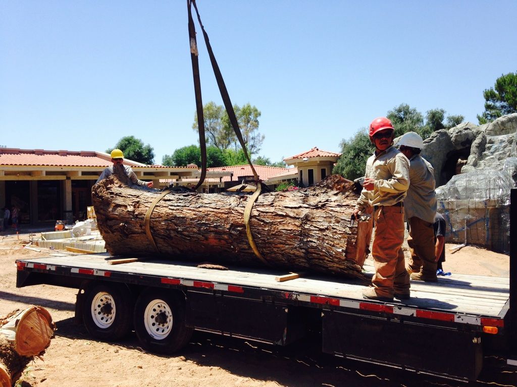 Workers using a crane lift a large log onto a flatbed trailer outdoors, near a building.