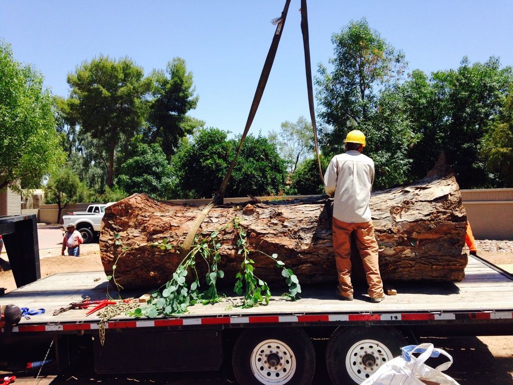 A worker in a hardhat guides a massive log being lifted onto a flatbed truck on a sunny day.