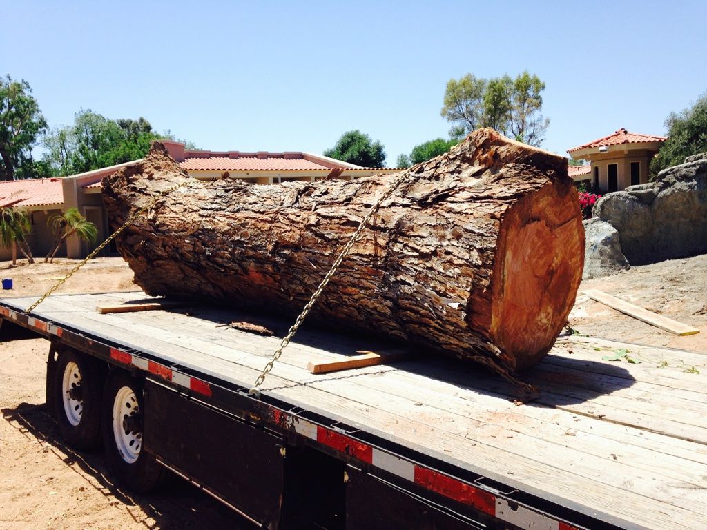 Large log secured on a flatbed trailer, outdoors under a bright blue sky.