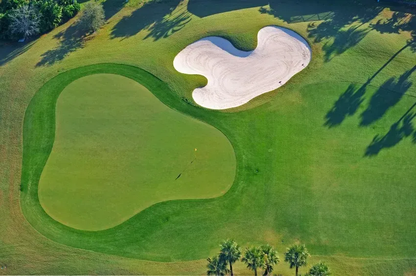 Aerial view of a golf green with a sand trap, surrounded by grass. Palm trees in the bottom right corner.