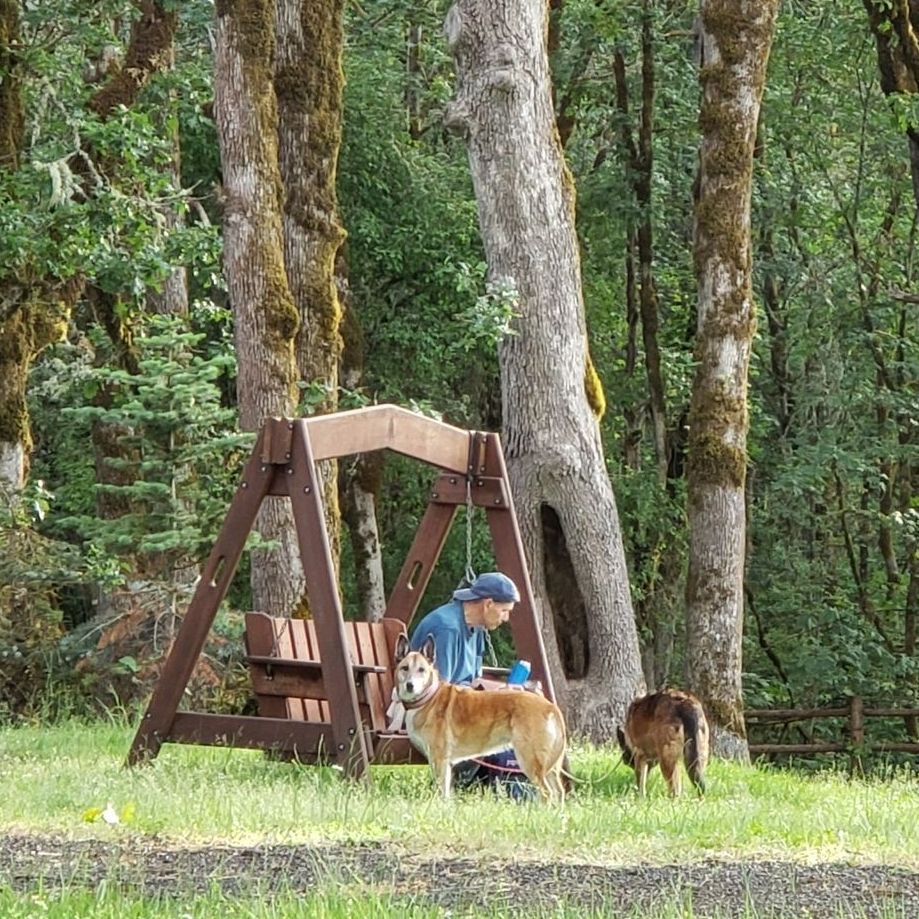 A person sits on a wooden swing with two dogs in a grassy area near trees.