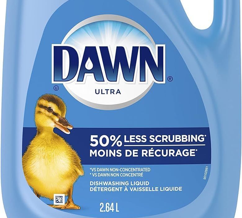 image of dawn soap