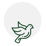 Green outline of a dove within a white circle.