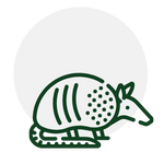 Armadillo outline, green on white, in front of a gray circle.