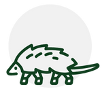 Green line drawing of a opossum inside a light gray circle.