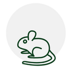 Green outline of a mouse inside a light gray circle.