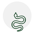 Green snake outline within a light gray circle.