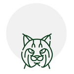 Outline of a bobcat face in green, emerging from a light gray circle.