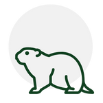 Green outline of a groundhog in front of a gray circle.