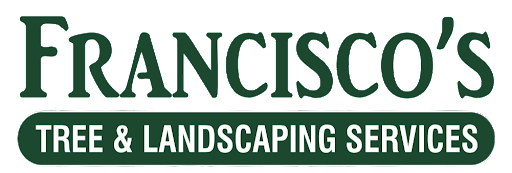 The logo for francisco 's tree and landscaping services