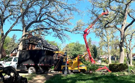 A tree cutting machine is cutting a tree in a yard.