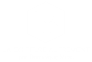 Logo Salon coiffure Dominique Mess