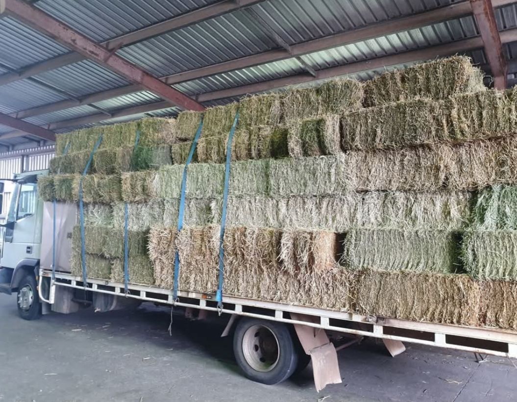A Bunch Of Hay Bales Are Stacked On Top Of A Truck — Maleny Hardware & Rural Supplies In Maleny, QLD
