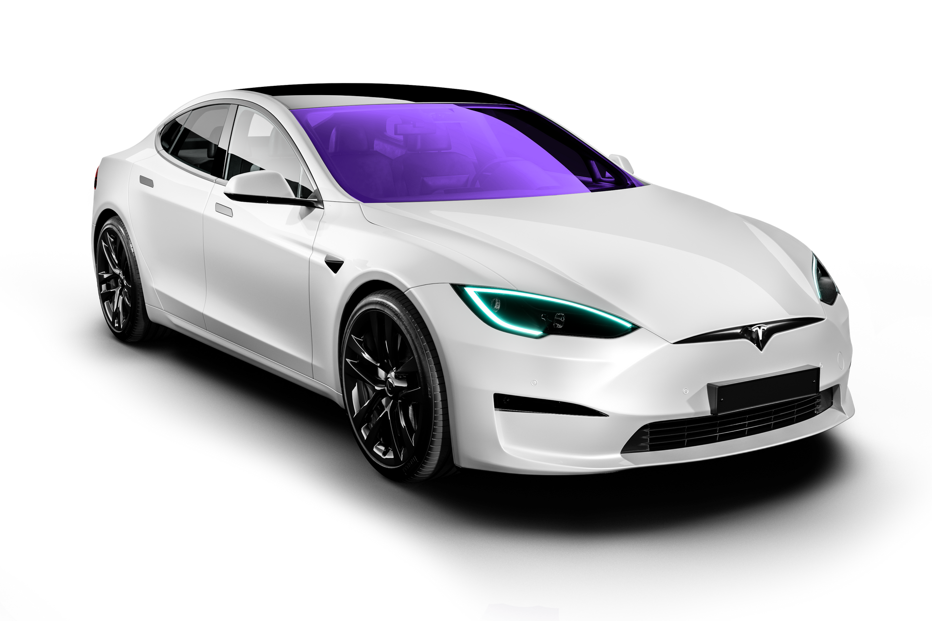 Tesla Model S/3/Y Windshield