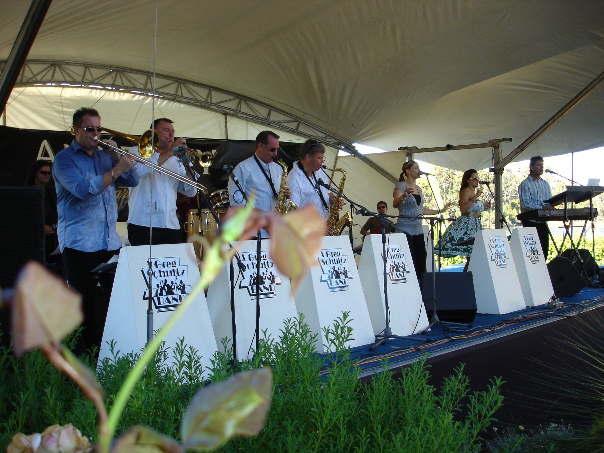 Amberley Wine Festival