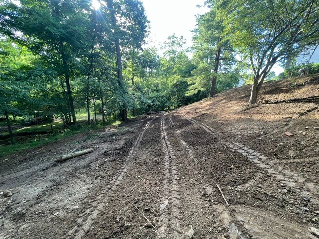 A dirt road going through a forest with trees on the side.