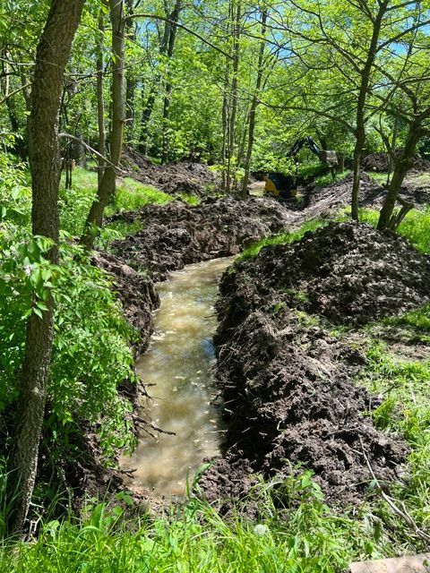 A muddy stream in the middle of a forest surrounded by trees.