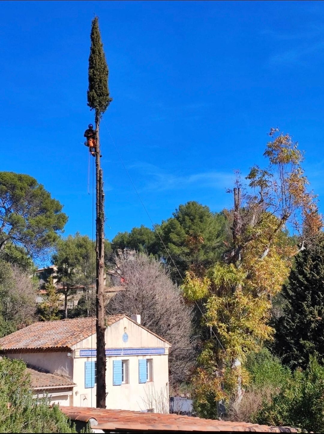 entreprise EJH élagage à Trets 13530