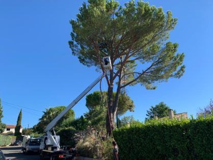 élagage avec nacelle