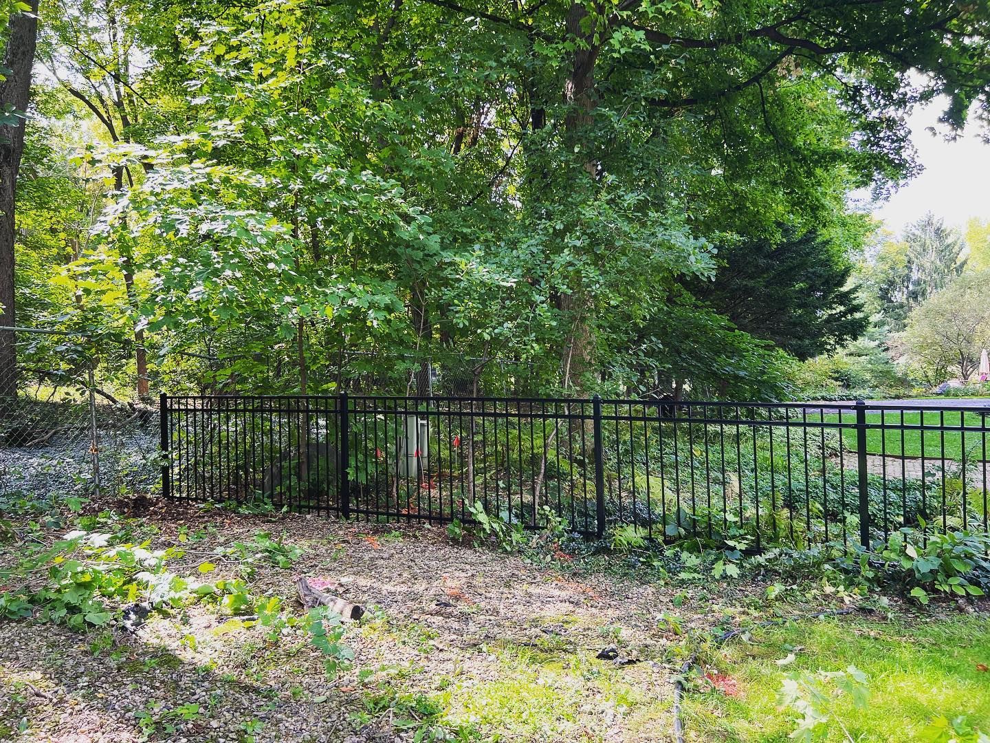 Black metal fence encloses a section of trees and greenery, on a sunny day.