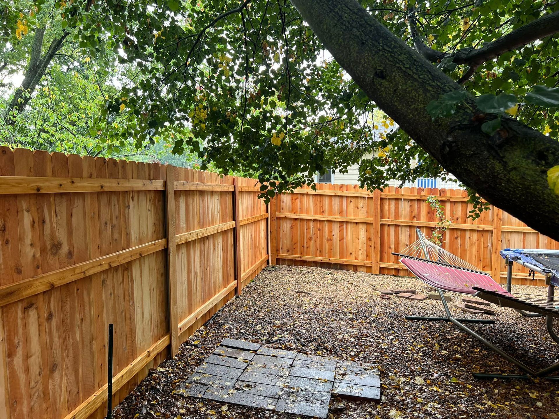 Wooden fence in a backyard under a tree with fallen leaves.