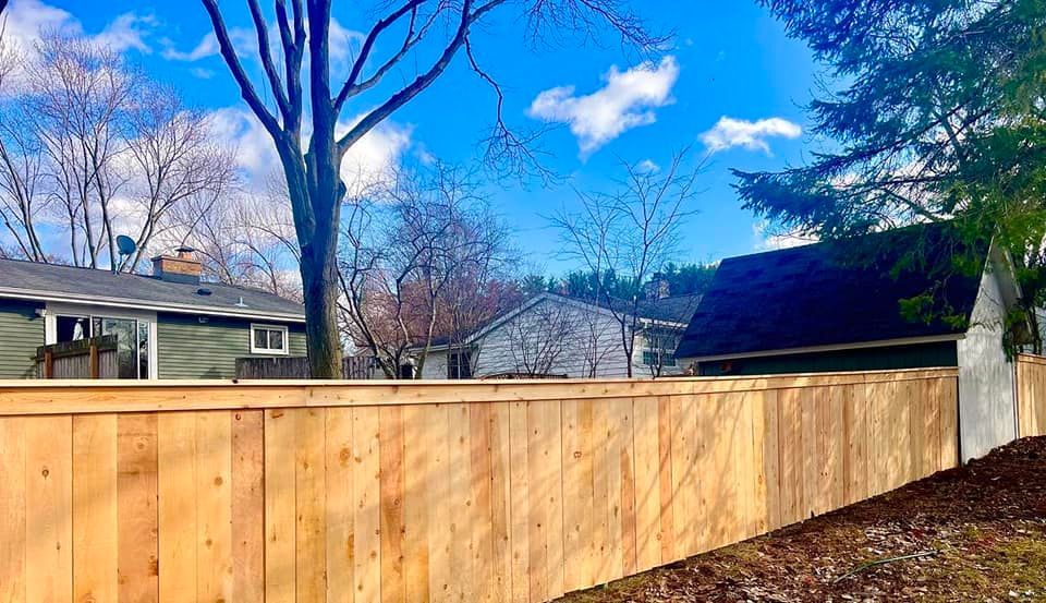 Wooden fence in a residential area, bright blue sky, bare trees, and houses visible in the background.
