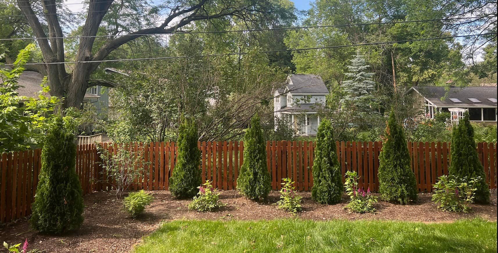 A backyard with a wooden fence, several green trees, and houses in the background under a blue sky.