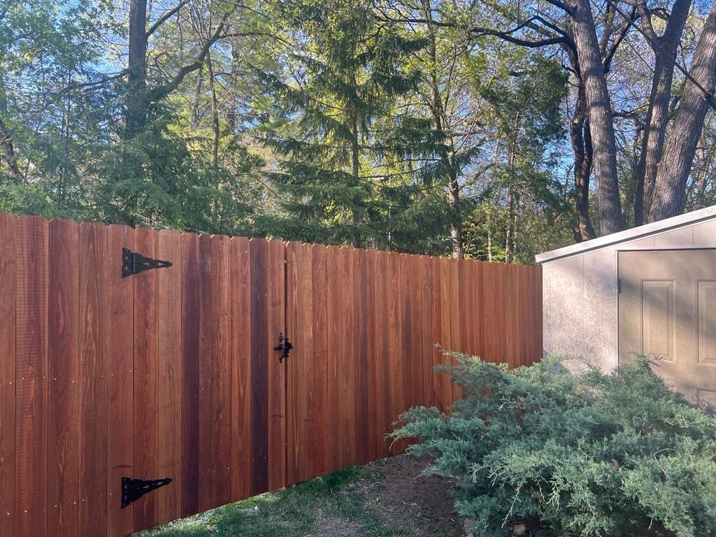 Wooden fence with a gate, black hardware, and a green bush in front. Trees in the background.