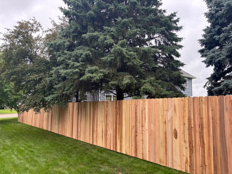 Wooden fence along a narrow grassy strip beside a paved area, trees in background.