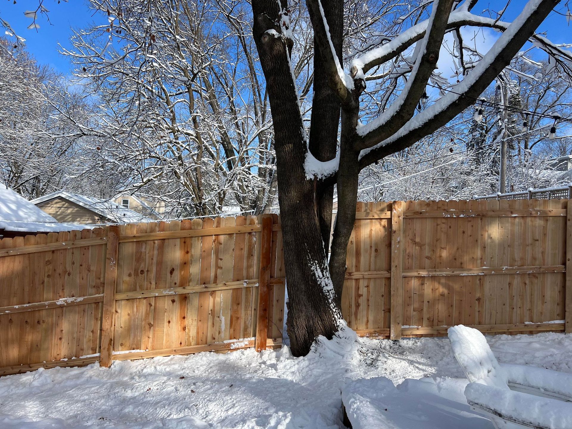 Snow-covered backyard scene with a wooden fence and tree, bright winter day.