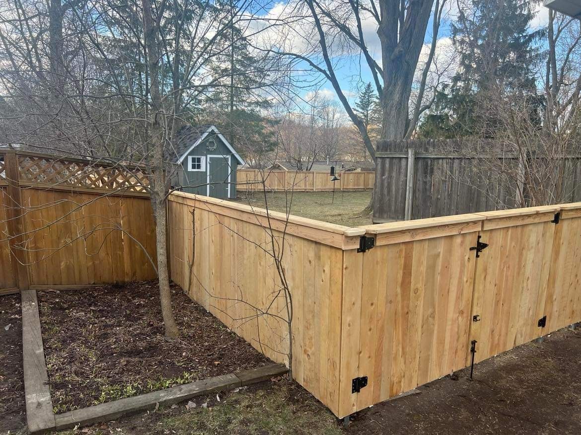 Wooden fence in a backyard, small shed in the background. Cloudy sky, bare trees.