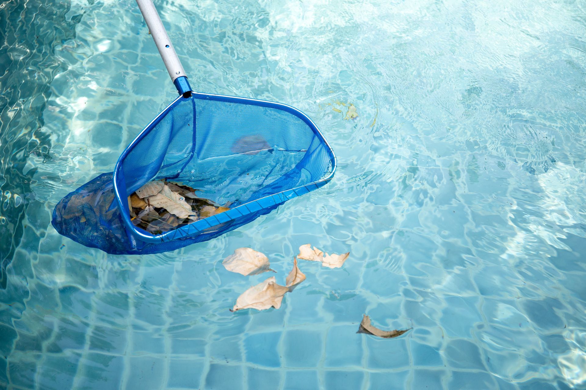 A family is playing in a swimming pool.