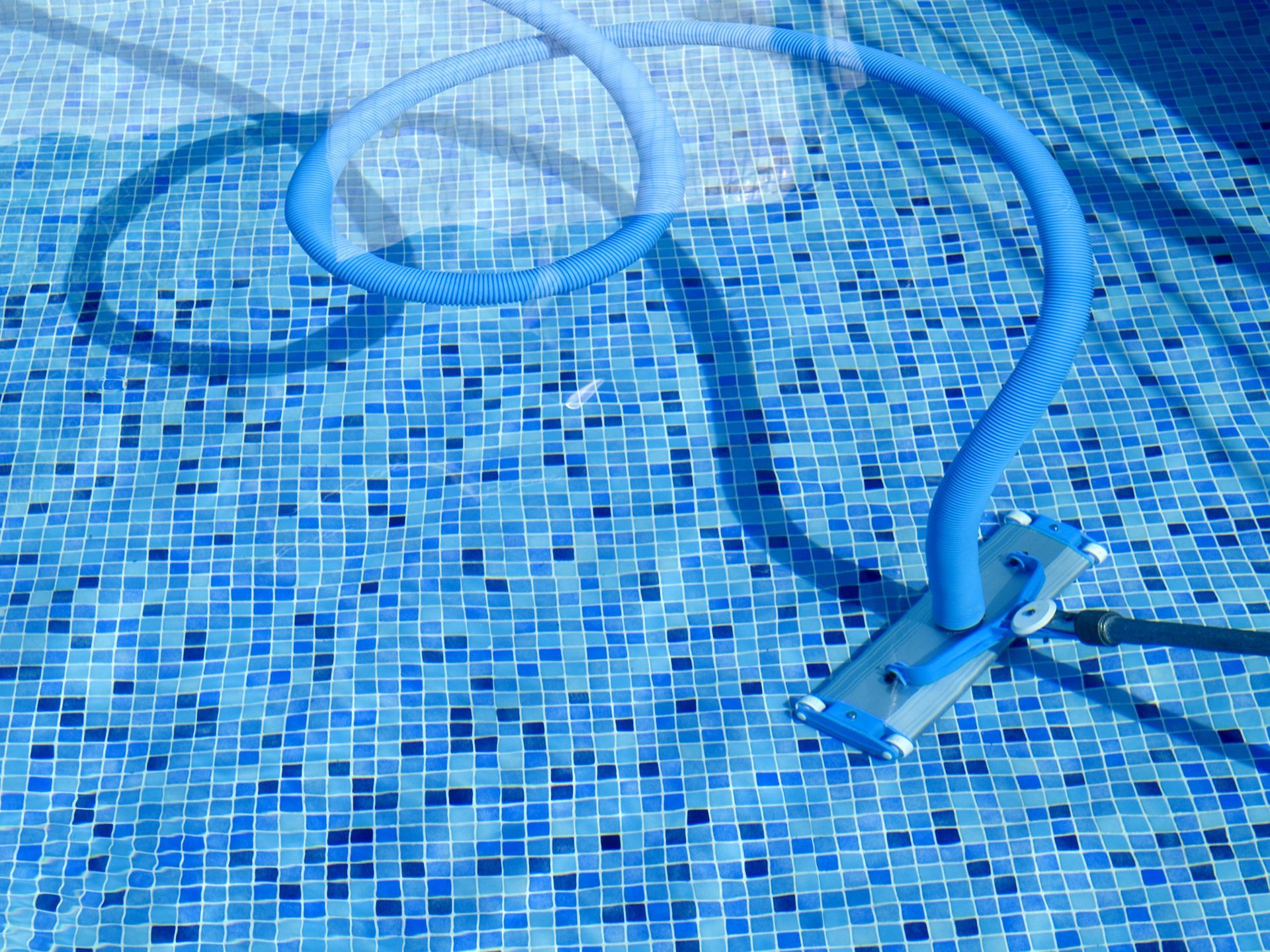 Pool vacuum cleaning a blue tiled pool.